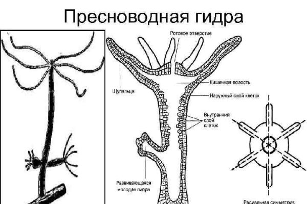 Кракен вход зеркало