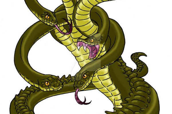 Kraken20at