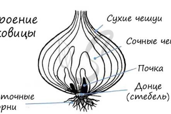 Kraken ссылка для тору