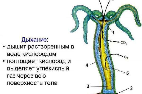 Кракен вход магазин kraken17ate pro